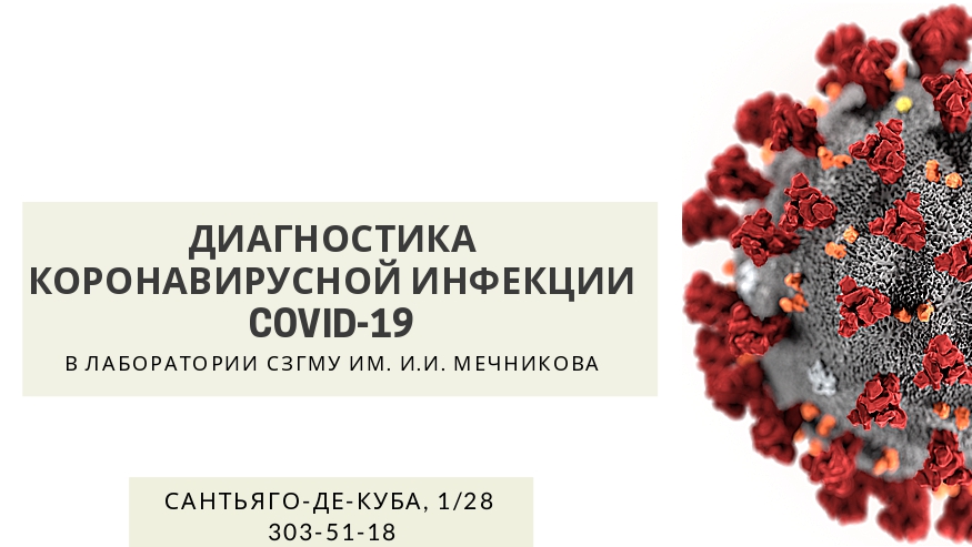 Баннер Диагностика COVID